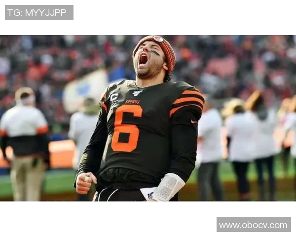 乌鸦与美洲虎的智慧与力量之争谁能在自然界中胜出